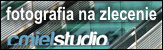fotografia wacz na zlecenie logo grafika