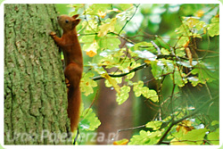 Przewodnik - Pojezierze Wałeckie