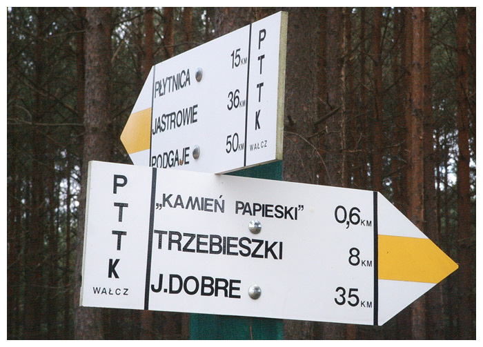 Pierwszy pomnik Jana Pawła II na świecie