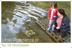 Noc witojaska w Mirosawcu